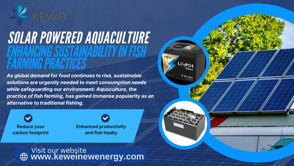 Solar-Powered Aquaculture: Enhancing Sustainability in Fish Farming Practices