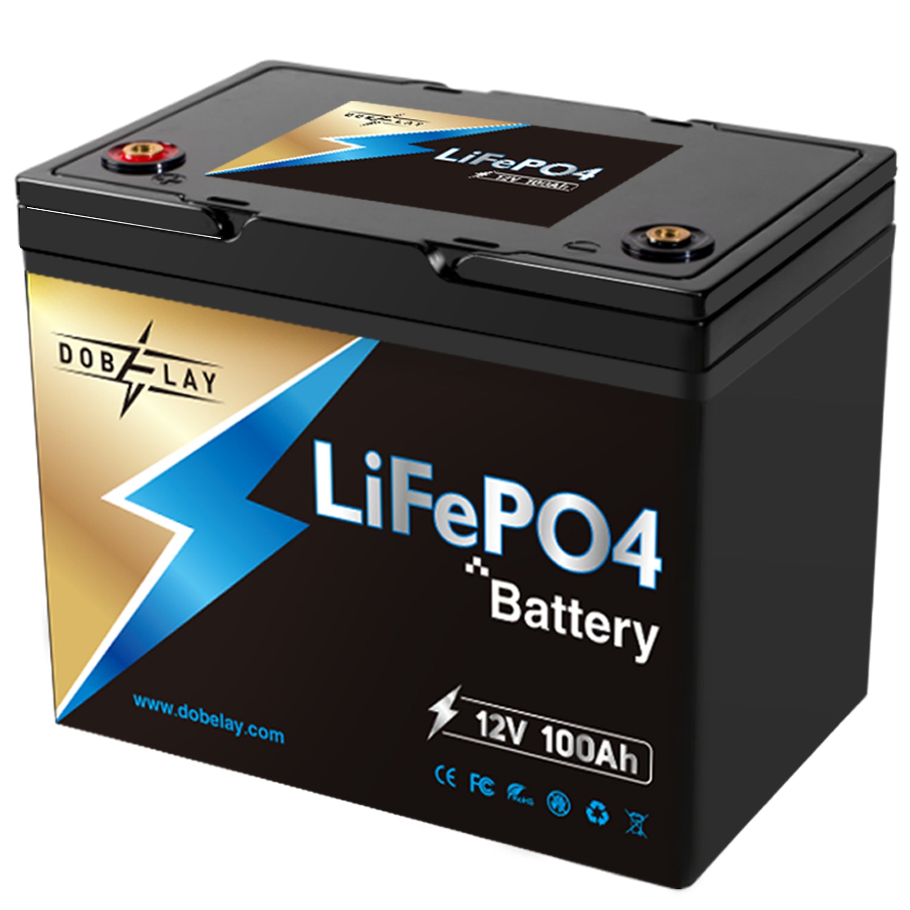 LiTime 12V 100Ah LiFePO4 Batterie & 12V 20A Lithium